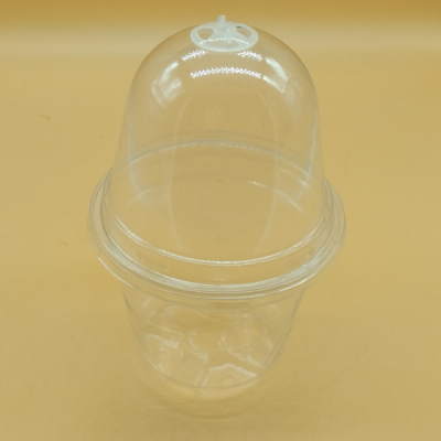 Maceta Demeter 10cms